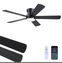🌬️ Indoor/Outdoor 52” Black Ceiling Fan with Light & Remote - Pick up 5/31