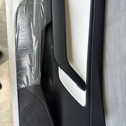 Model 3 Driver Front Door Panel Oem