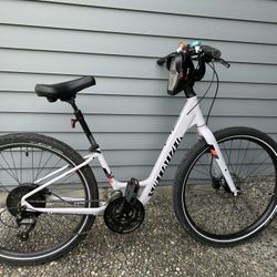 Specialized Aluminum City Bike With All Accessories