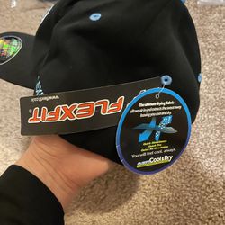 New Hat With Tag$3