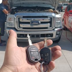 Leaves DE Auto Car Keys And Remotes 