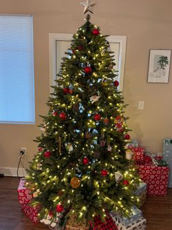 Holiday Living 7.5-ft Hayden Pine Pre-Lit Artificial Christmas Tree LED Lights