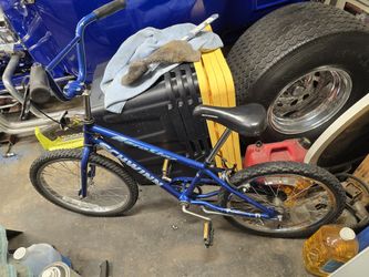 Boys Schwinn Bicycle 