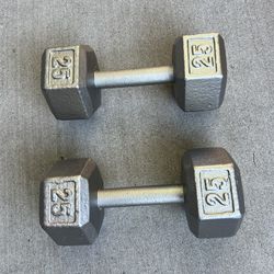 Dumbbells Gym Weights Pair 