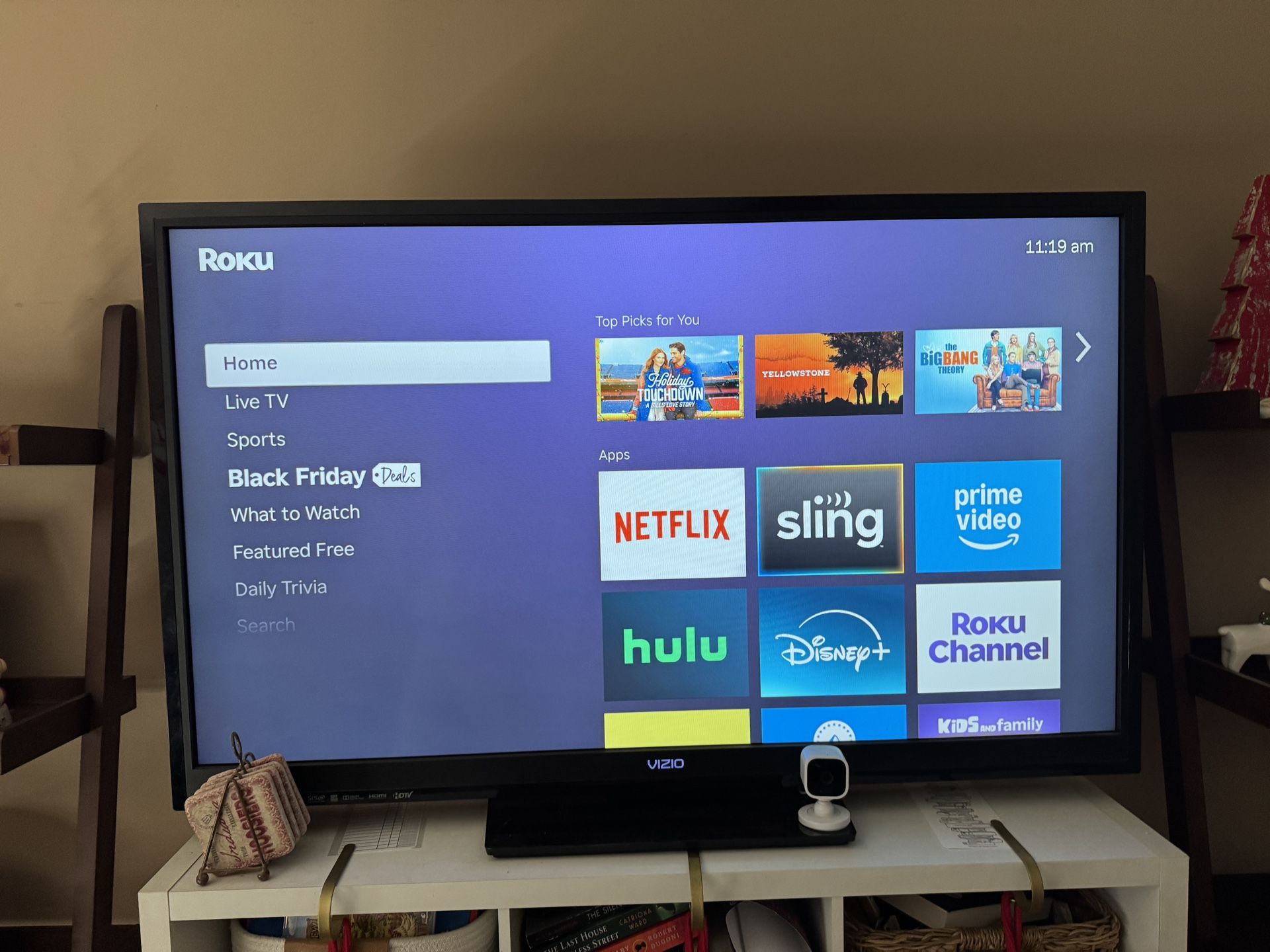 Vizio 49” Roku TV