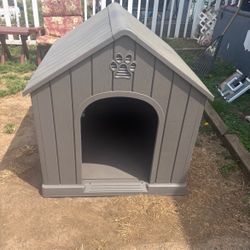 Dog House 