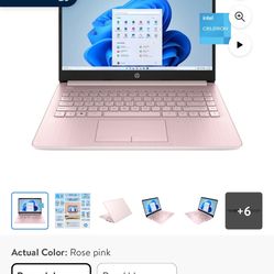 HP Pink Laptop 