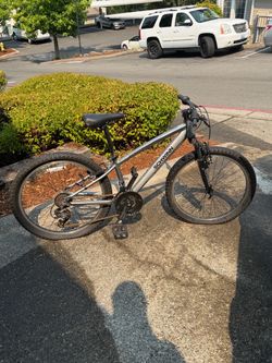Schwinn Bike