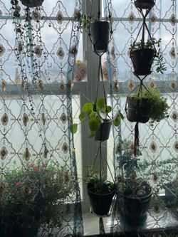 Three Tier Plant Hanger 