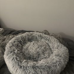 Small Dog Bed 