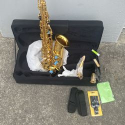 Alto Saxophone 🎷 