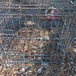 Animal Cage