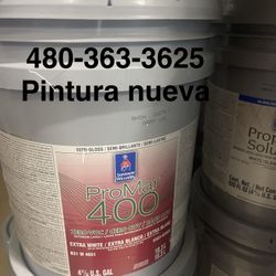 Pintura Flat Eggshell Semigloss Paint Sale 