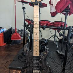 PRS SE Swamp Ash Special