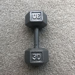 30lb Dumbbell For Sale