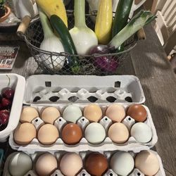 Fresh Eggs Hand Picked Daily ❤️