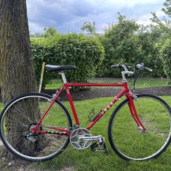1986 Trek 330 Elance Commuter/Cruiser