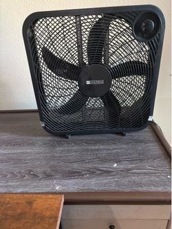 Black fans