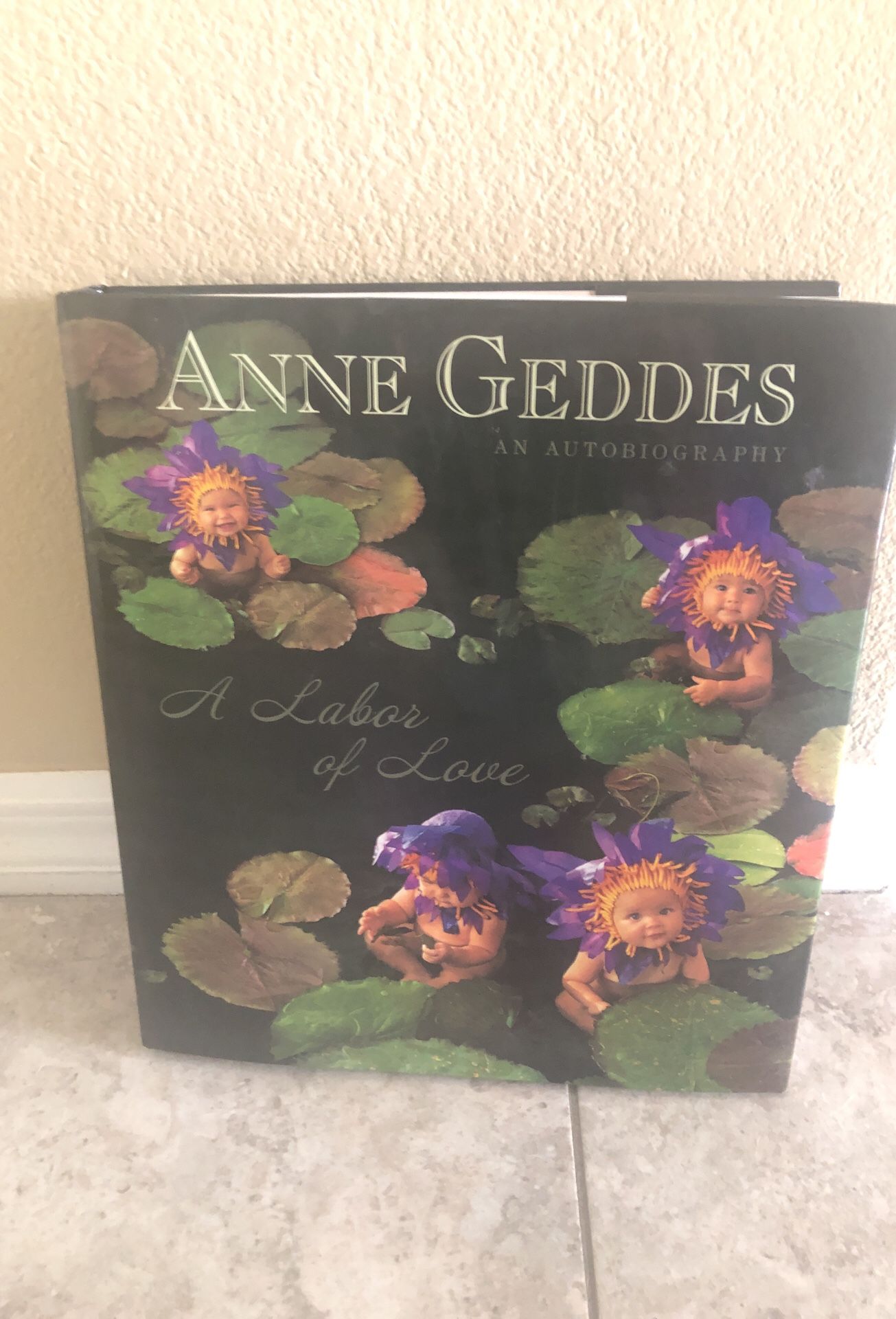Anne Geddes book