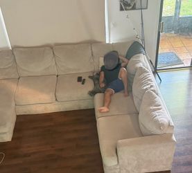 Sofa / Sectional
