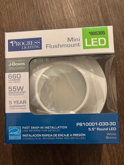 Progress Lighting Mini LED Flushmount Light