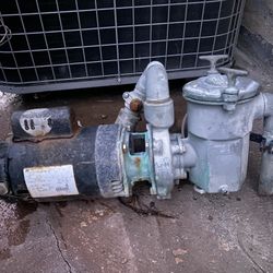 Pool Pump 