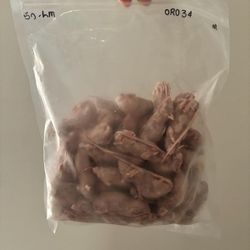 Snake Food 