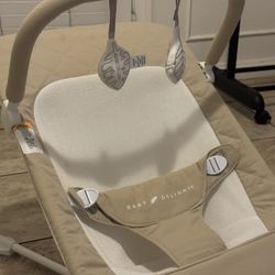 Baby Bouncer
