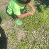 Jose M