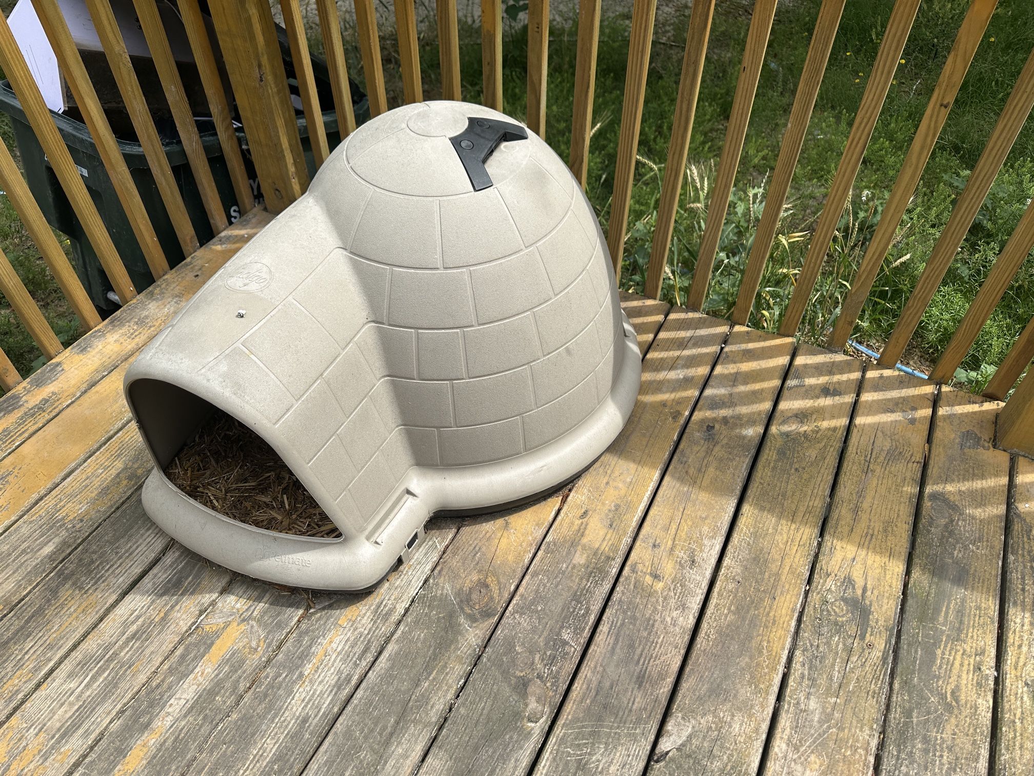 Dog Igloo