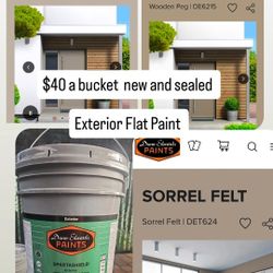 Exterior Flat Paint 