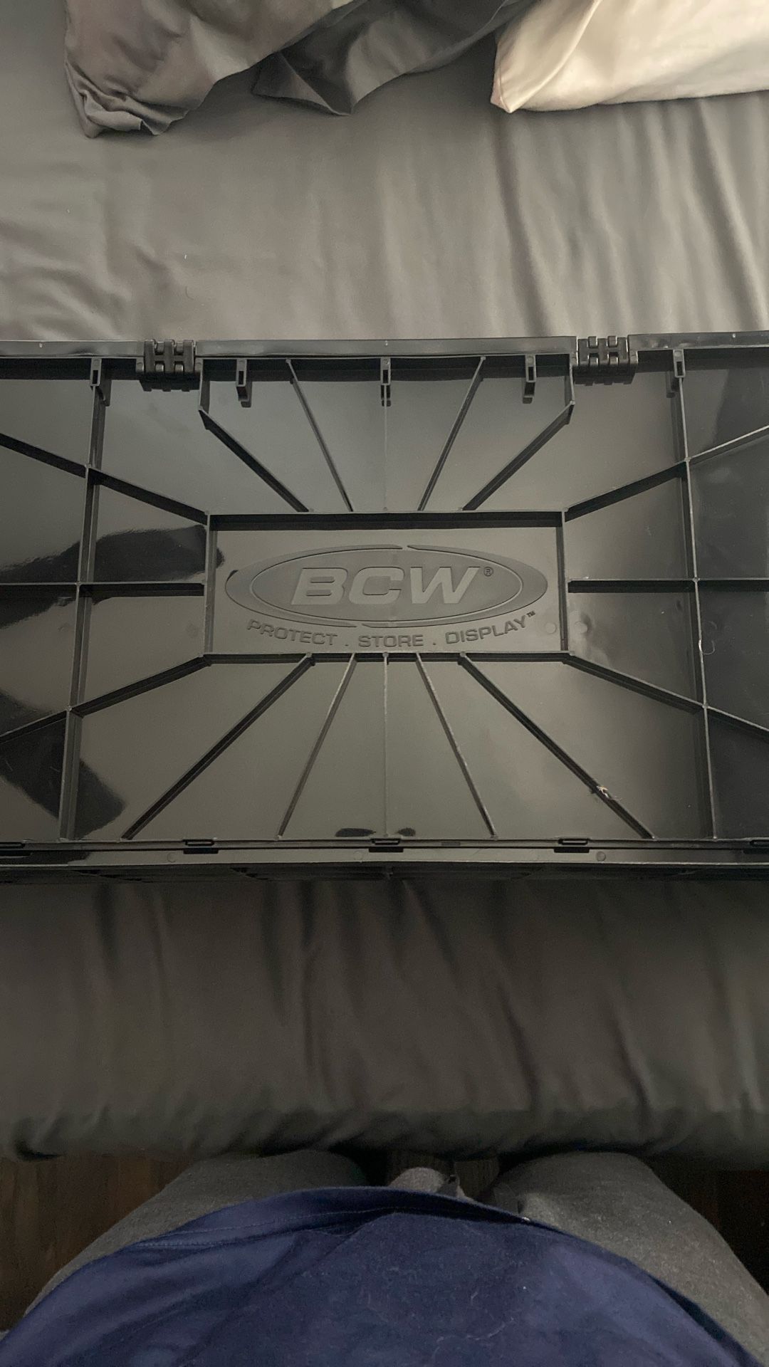 BCW Comic Book storage