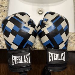 Everlast 14 Ounce Training Gloves