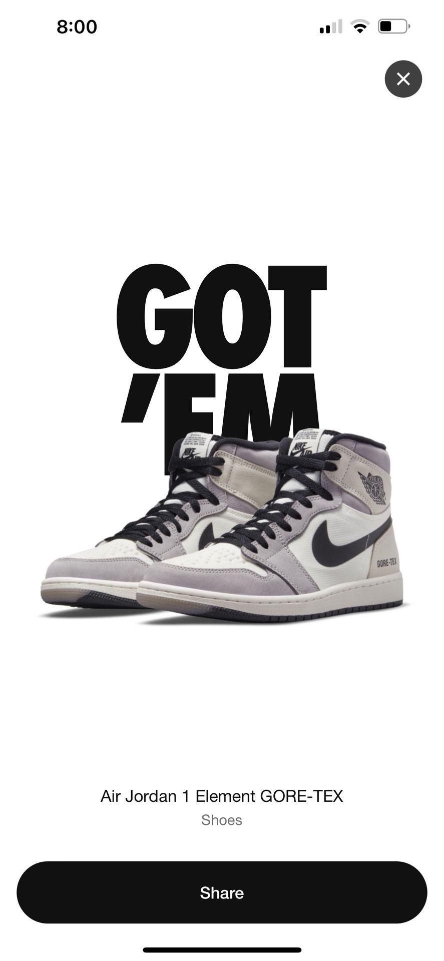 Air Jordan 1 Element Gore-tex