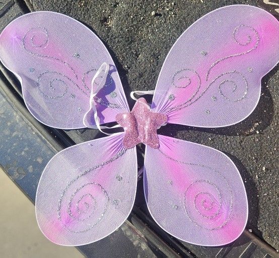 Light Link Butterfly Wing