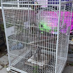 Large bird cage