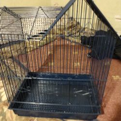 Bird Cage 