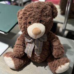 Charming Plush Teddy Bear