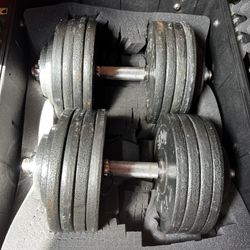 Two 100lb Adjustable Dumbbells With Pelican Case