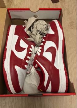 Nike dunks men size 10