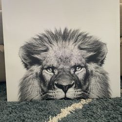Lion Canvas 