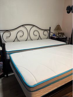 Daybed with mattresses