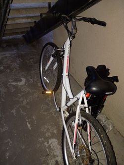 tamarack adult cruiser