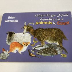 Farsi/English Children’s Picture Book