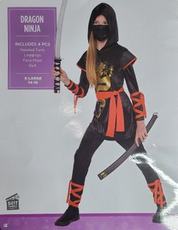 Dragon Ninja Costume