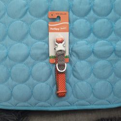 Orange and Gray Dog Collar