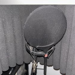 Studio Microphone SE 