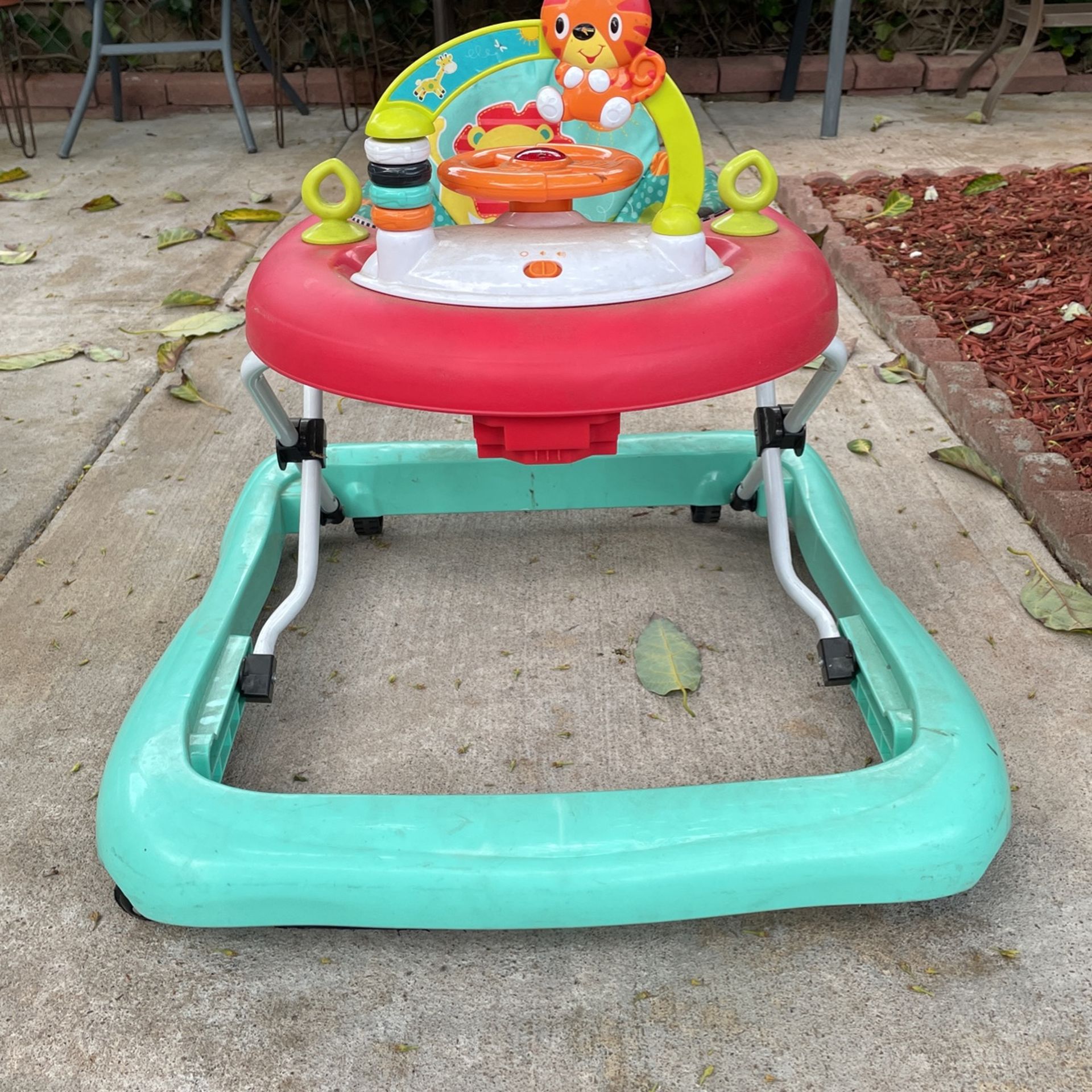 Baby Walker