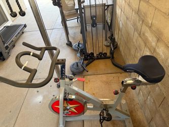 Sunny Health and Fitness Bike