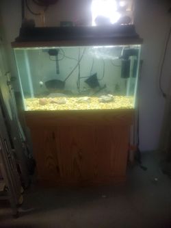Aquarium 30 gallon